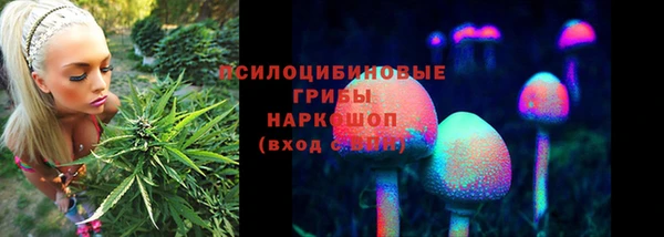 сатива Аркадак