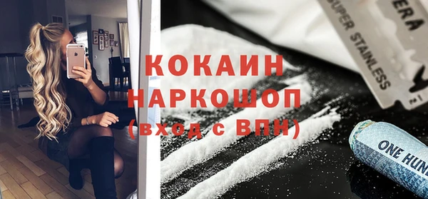 сатива Аркадак