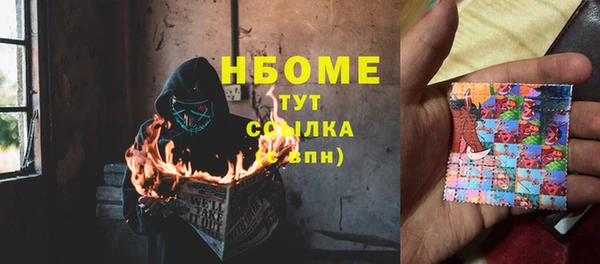 сатива Аркадак