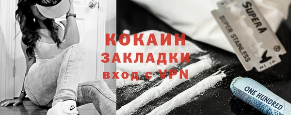 сатива Аркадак