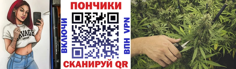 Шишки марихуана планчик  купить  цена  Жиздра 